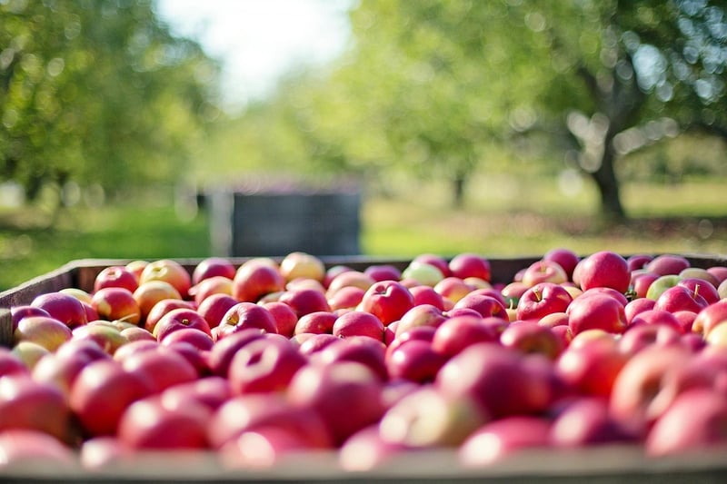 Nature's Bounty